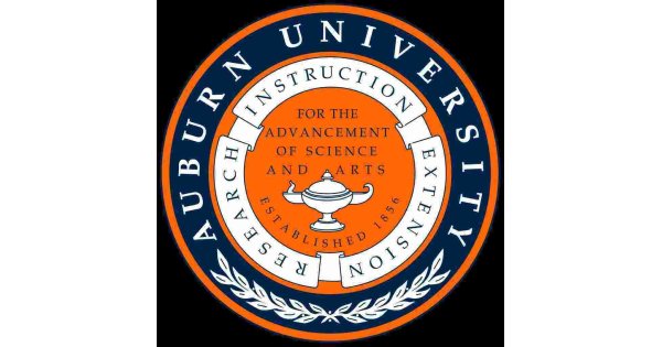 Auburn Meaning and Definition