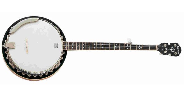 Banjo Meaning and Definition