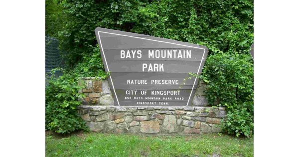 Bays Meaning and Definition