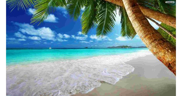 Beach Meaning and Definition Beach Meaning and Definition