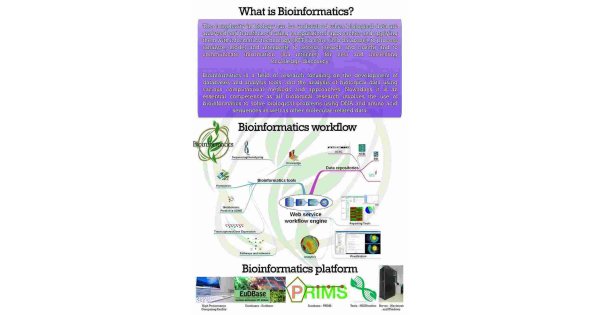 Bioinformatics Meaning and Definition