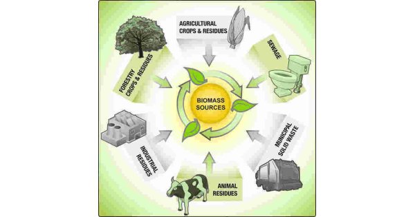 Biomass Meaning and Definition