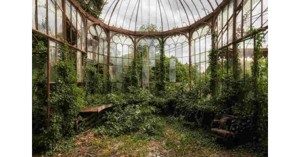 Botany Meaning and Definition