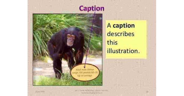 Caption Meaning and Definition