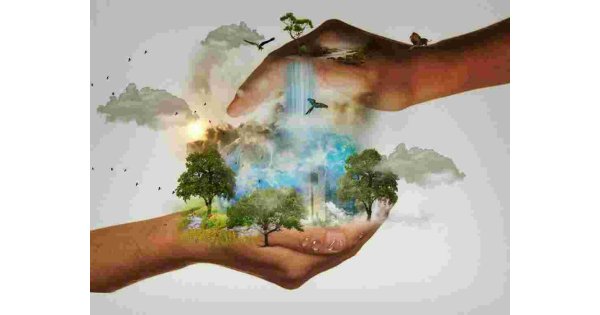 Conservation Meaning and Definition
