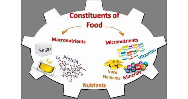 Constituents Meaning and Definition