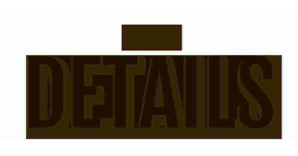 Details Meaning and Definition