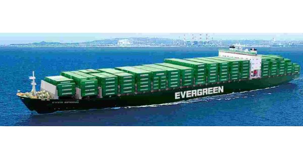 Evergreen Meaning and Definition
