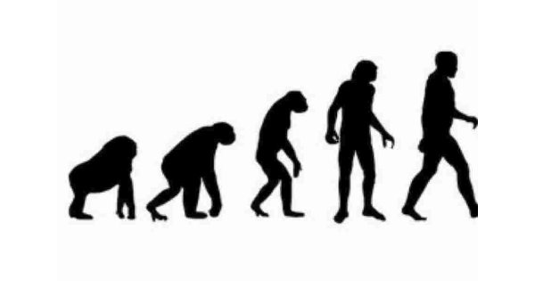 Evolutionary Meaning and Definition