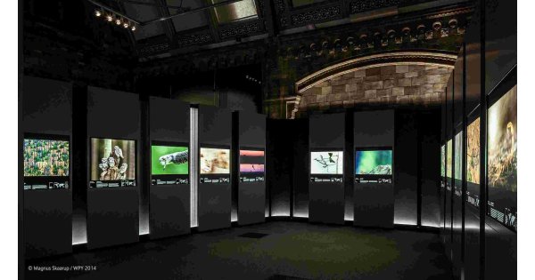 Exhibition Meaning and Definition
