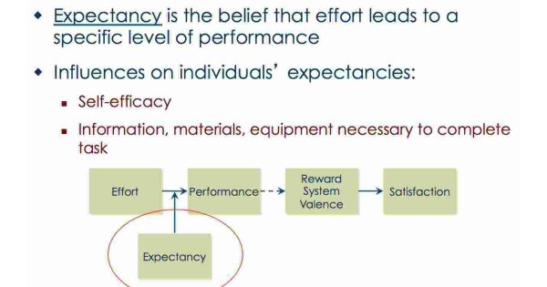 Expectancy Meaning and Definition