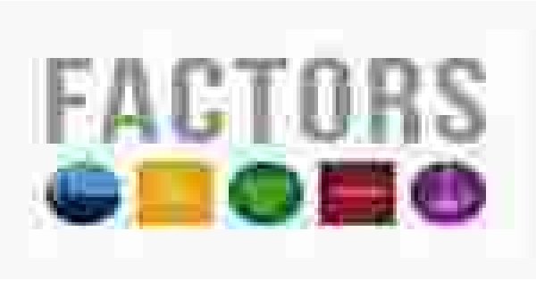 Factors Meaning and Definition