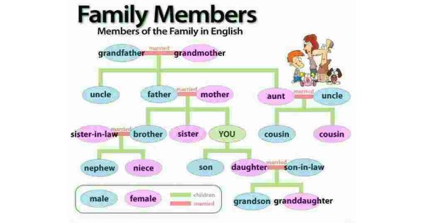 Family Meaning and Definition Family Meaning and Definition