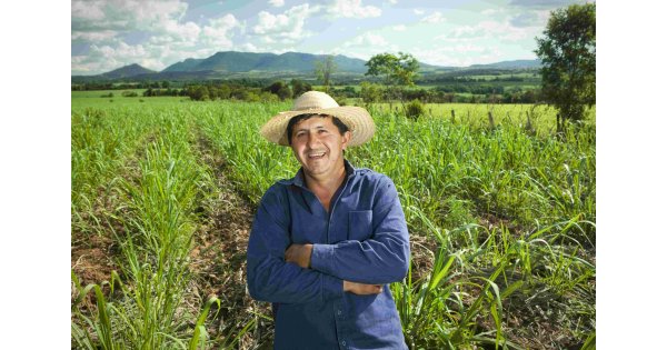 Farmer Meaning and Definition