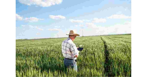 Farming Meaning and Definition