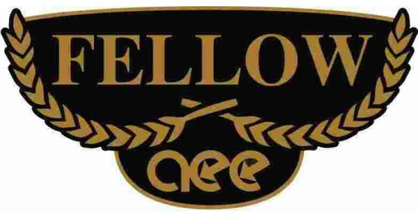 Fellow Meaning and Definition