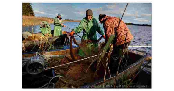 Fishermen Meaning and Definition