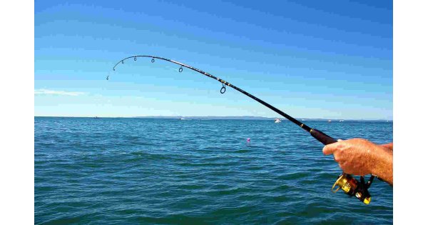 Fishing Meaning and Definition