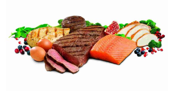 Foods Meaning and Definition
