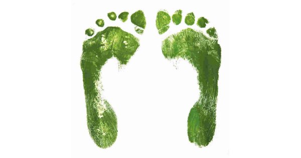 Footprint Meaning and Definition