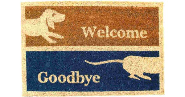 Goodbye Meaning and Definition