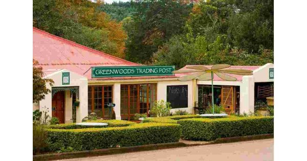 Greenwood Meaning and Definition