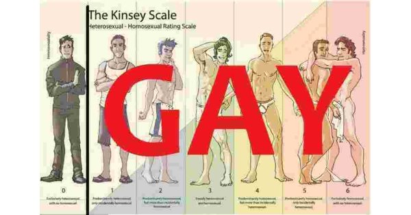 Homosexual Meaning and Definition Homosexual Meaning and Definition