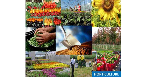 Horticulture Meaning and Definition Horticulture Meaning and Definition