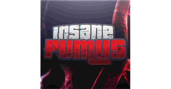 Insane Meaning and Definition