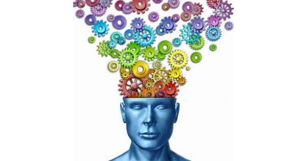 Intelligent Meaning and Definition