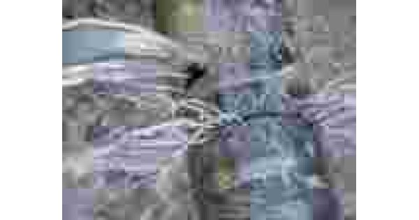 Leakage Meaning and Definition