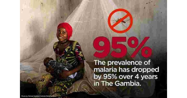 Malaria Meaning and Definition