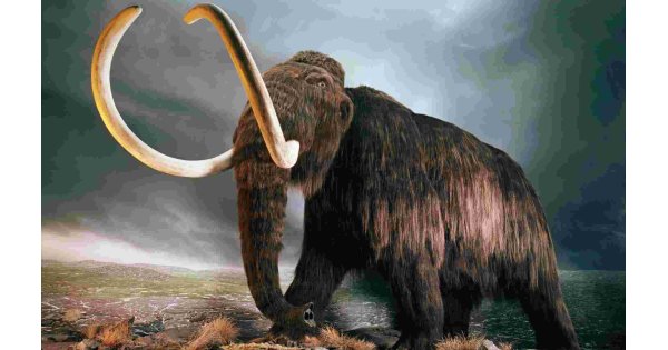 Mammoth Meaning and Definition