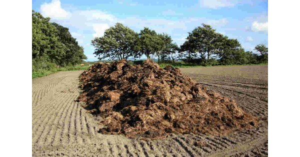 Manure Meaning and Definition