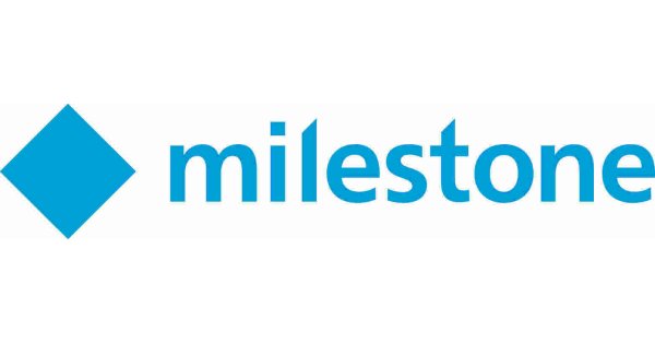 Milestone Meaning and Definition Milestone Meaning and Definition