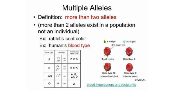 Multiple Meaning and Definition
