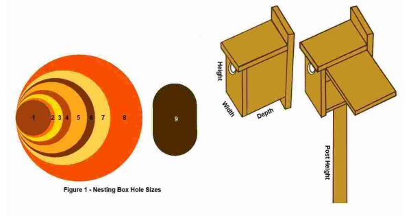 Nesting Meaning and Definition