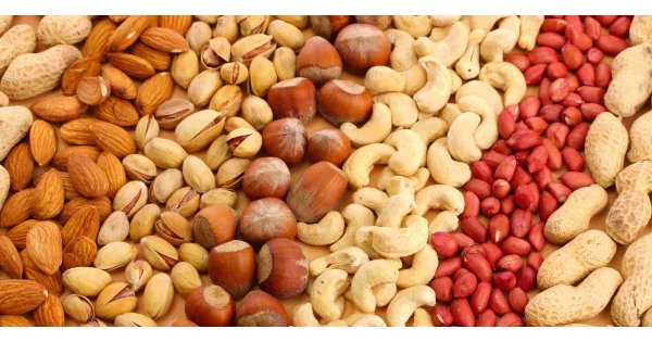 Nuts Meaning and Definition