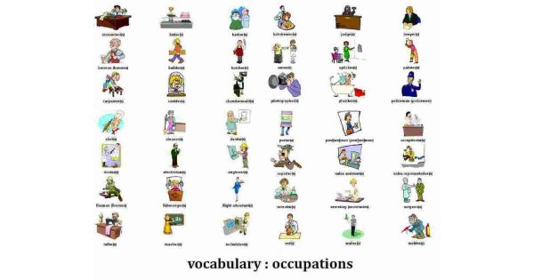 Occupation Meaning and Definition