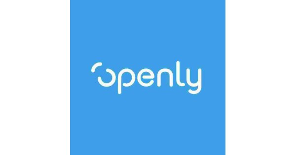 Openly Meaning and Definition