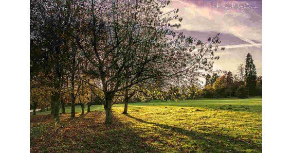 Outside Meaning and Definition