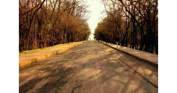 Parkway Meaning and Definition