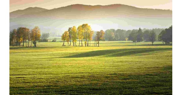 Pastoral Meaning and Definition Pastoral Meaning and Definition