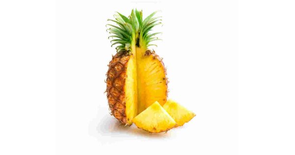 Pineapple Meaning and Definition Pineapple Meaning and Definition
