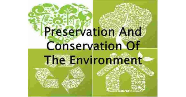 Preservation Meaning and Definition