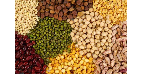 Pulses Meaning and Definition