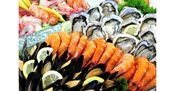 Seafood Meaning and Definition