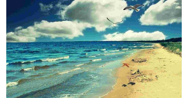 Seaside Meaning and Definition