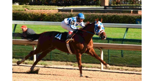Secretariat Meaning and Definition