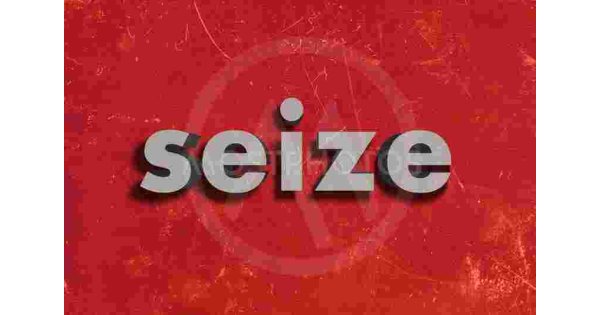 Seize Meaning and Definition